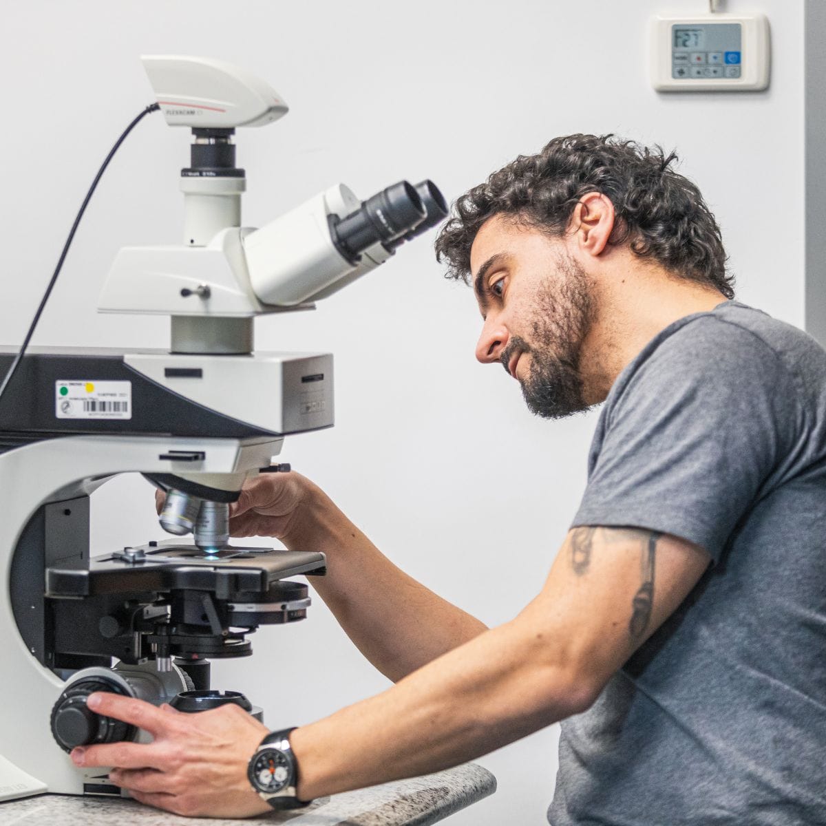 A researcher with curly dark hair and beard wearing a gray t-shirt examines a specimen through a professional microscope in a