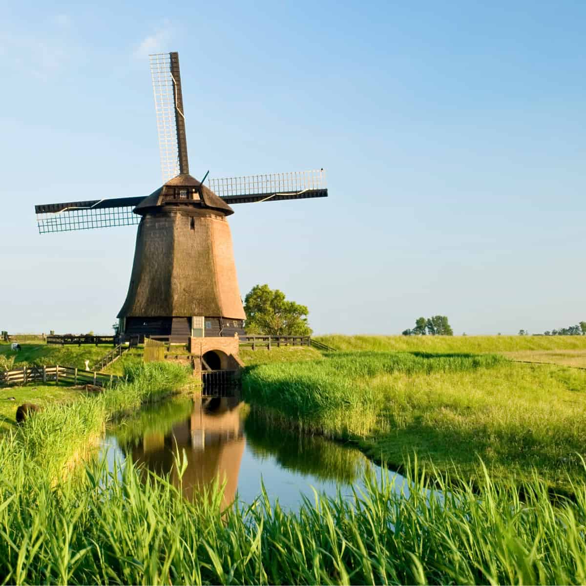 Traditional Dutch windmill beside a water channel in green countryside. The stone windmill with wooden blades sits on grassy
