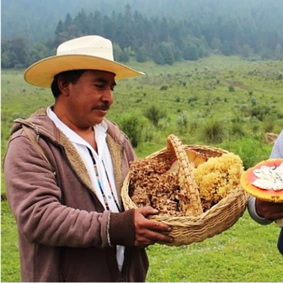 A man holds a basket full of what is hopefully edible fungi.