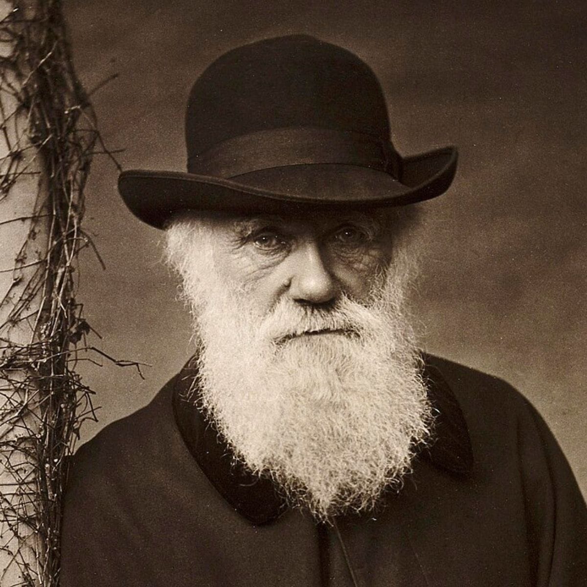 Bringing Darwin’s Botanical Work Into the Spotlight