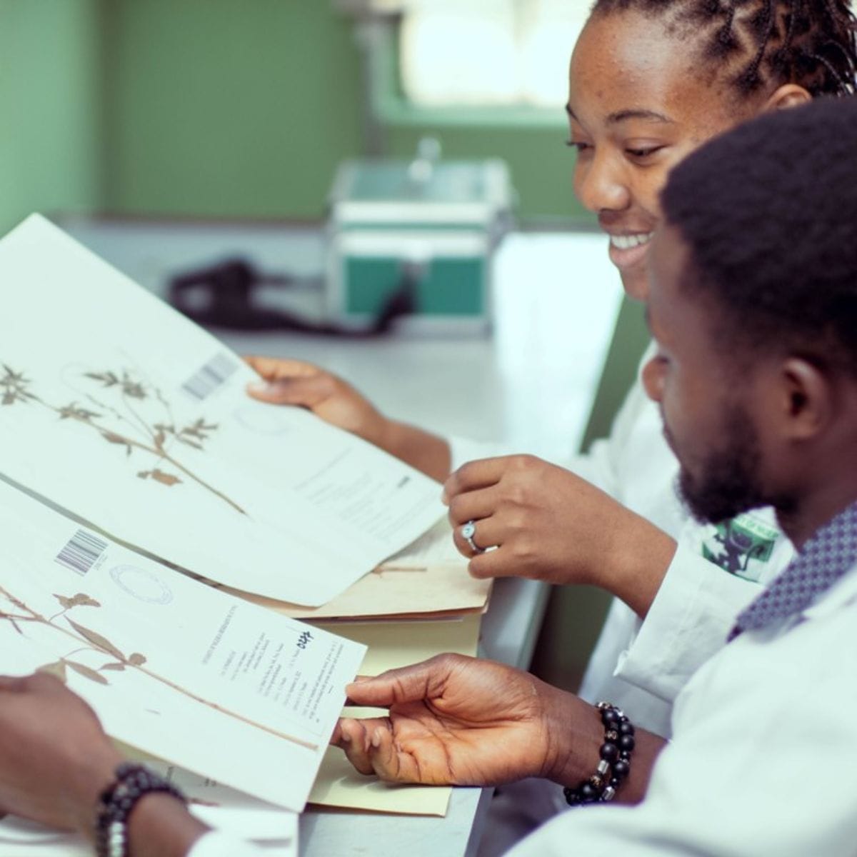 Nigeria’s Silent Libraries of Plant Life