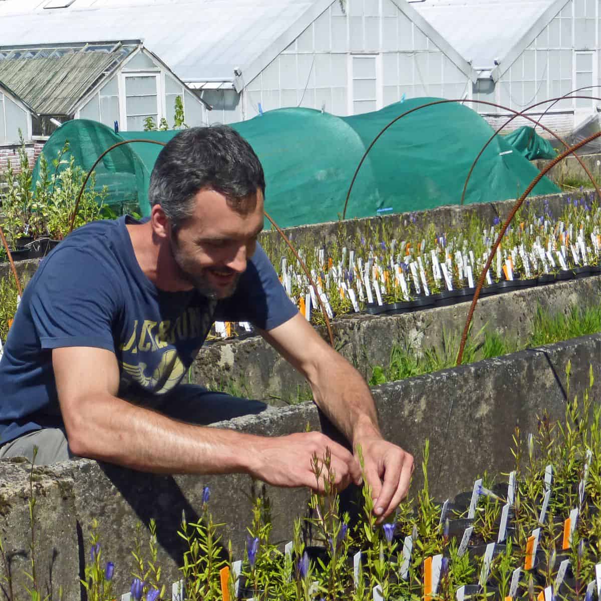Filip Vandelook tending to some small plants.