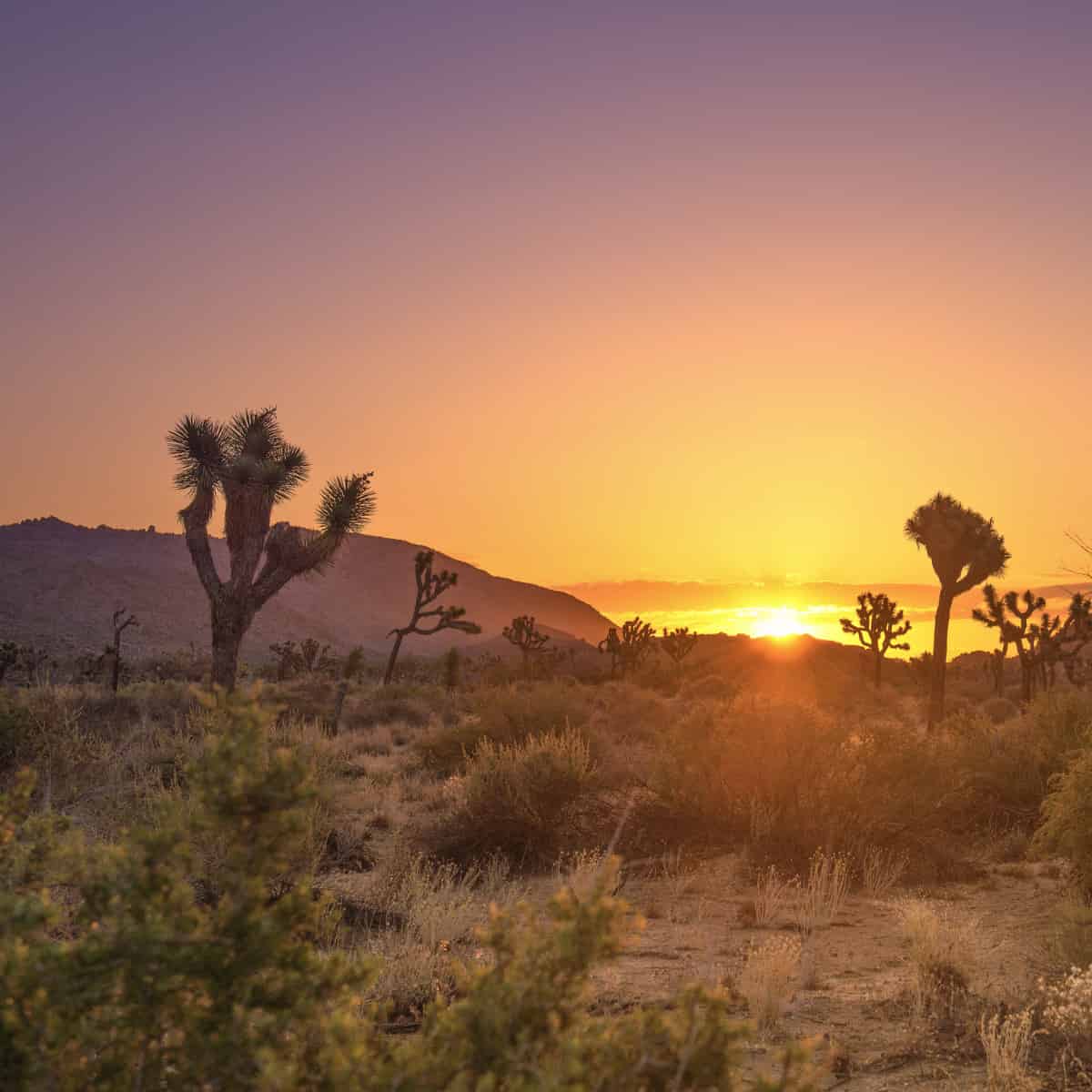 The Week in Botany December 15, 2025