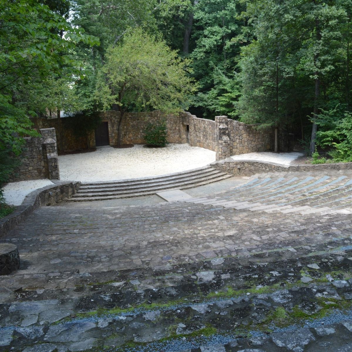 Three Words for Forest: When Forestry Meets the Stage