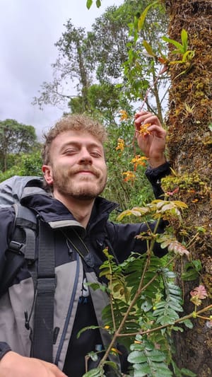 Andrés Pereira-Guaquetá