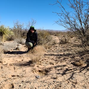 Adriana Romero-Olivares: "Fungi Are Both Charismatic and Mysterious"