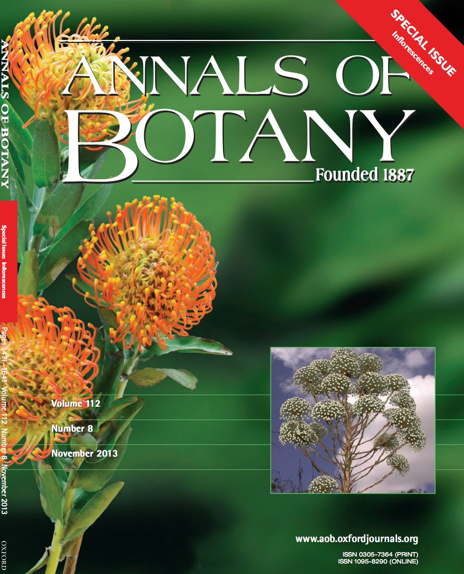 Inflorescences take centre stage « Botany One